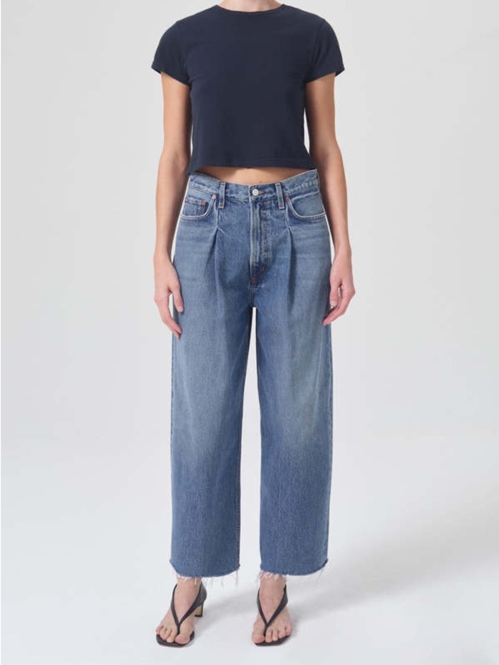 Agolde Dagna high rise pleated baggy pant in trap • Sz 27